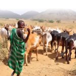 karamoja-pastoralists