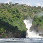 murchison falls